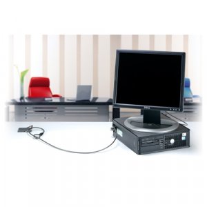 DELL MicroSaver Twin cable lock Silver