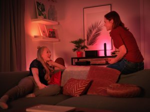 Philips Hue White and colour ambience Play light bar double pack