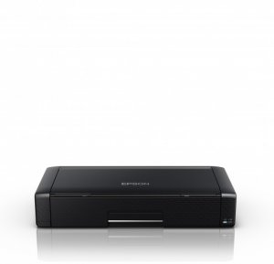 Epson WorkForce WF-110W
