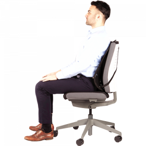 Fellowes Back Support for Office Chair - Professional Series Mesh Office Chair Back Support - Easy To Attach - H19.53 x W30.32 x D36.99cm