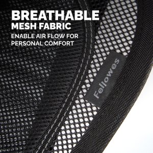 Fellowes Back Support for Office Chair - Professional Series Mesh Office Chair Back Support - Easy To Attach - H19.53 x W30.32 x D36.99cm