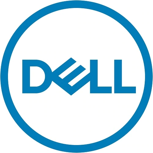 DELL Windows Server 2022 Standard 1 license(s)