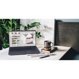 ASUS ExpertBook B1 B1500CEAE-BQ1823R Laptop 39.6 cm (15.6") Full HD Intel® Core™ i5 i5-1135G7 8 GB DDR4-SDRAM 512 GB SSD Wi-Fi 6 (802.11ax) Windows 10 Pro Black