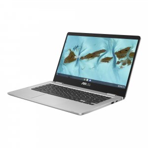 ASUS Chromebook C424MA-EB0079 laptop 35.6 cm (14") Full HD Intel® Pentium® Silver N5030 4 GB LPDDR4x-SDRAM 64 GB eMMC Wi-Fi 5 (802.11ac) ChromeOS Silver