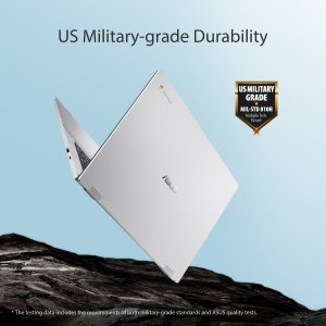 ASUS Chromebook CX1700CKA-AU0021 43.9 cm (17.3") Full HD Intel® Pentium® Silver N6000 4 GB LPDDR4x-SDRAM 128 GB eMMC Wi-Fi 6 (802.11ax) ChromeOS Silver