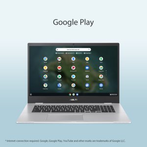 ASUS Chromebook CX1700CKA-AU0021 43.9 cm (17.3") Full HD Intel® Pentium® Silver N6000 4 GB LPDDR4x-SDRAM 128 GB eMMC Wi-Fi 6 (802.11ax) ChromeOS Silver