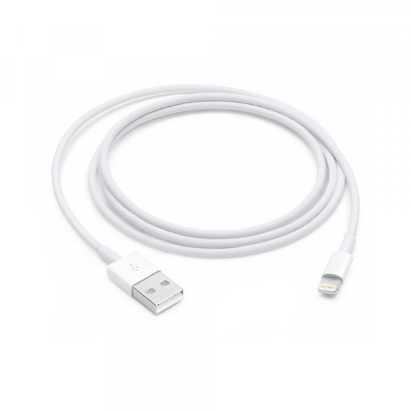 Apple Lightning to USB Cable (1В m)