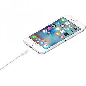 Apple Lightning to USB Cable (1В m)