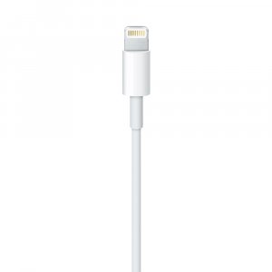 Apple Lightning to USB Cable (1В m)
