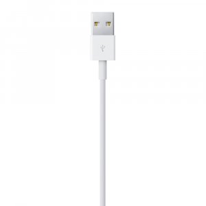 Apple Lightning to USB Cable (1В m)