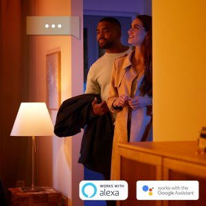 Philips Hue White and colour ambience Go portable accent light