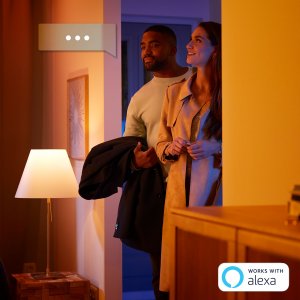 Philips Hue White and colour ambience Go portable accent light