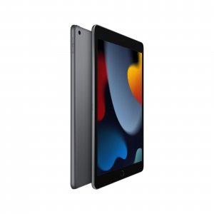 Apple iPad 256 GB 25.9 cm (10.2") Wi-Fi 5 (802.11ac) iPadOS 15 Grey