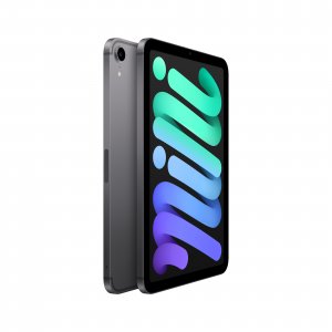 Apple iPad mini 5G TD-LTE & FDD-LTE 256 GB 21.1 cm (8.3") Wi-Fi 6 (802.11ax) iPadOS 15 Grey
