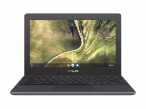 ASUS Chromebook C204MA-GJ0427-3Y laptop 29.5 cm (11.6") HD Intel® Celeron® N N4020 4 GB LPDDR4-SDRAM 32 GB eMMC Wi-Fi 5 (802.11ac) ChromeOS Grey