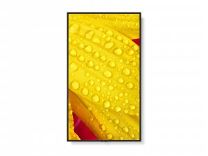 NEC MultiSync ME431 Digital signage flat panel 109.2 cm (43") IPS 400 cd/m² 4K Ultra HD Black 18/7
