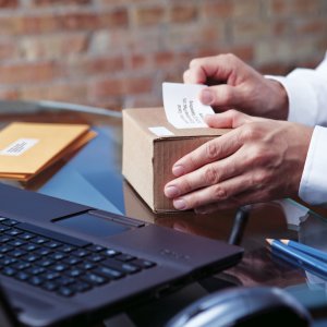 DYMO Authentic LabelWriter Large Shipping Labels/Name Badges | 54mm x 101mm | 12 Rolls of 220 (2,640 Easy-Peel Labels) | Self-Adhesive | for LabelWriter Label Makers