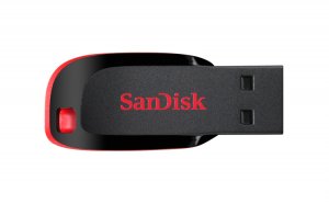 SanDisk Cruzer Blade USB flash drive 128 GB USB Type-A 2.0 Black, Red