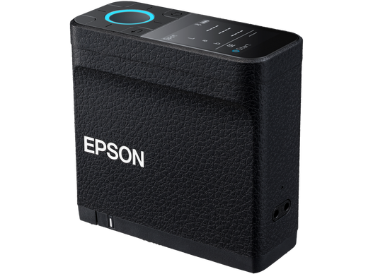 Epson SD-10 (ECSP)
