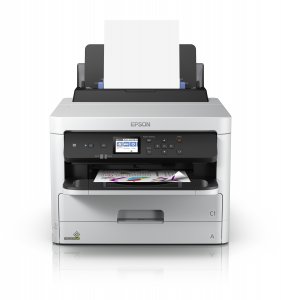 Epson WorkForce Pro WF-C5790DWF Power PDF