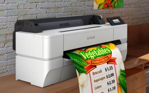 Epson SureColor SC-T3405N - wireless printer (No stand)