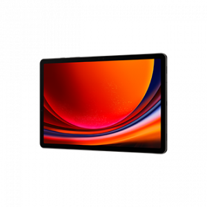 Samsung Galaxy Tab S9 SM-X716B 5G Qualcomm Snapdragon 256 GB 27.9 cm (11") 12 GB Wi-Fi 6 (802.11ax) Android 13 Graphite
