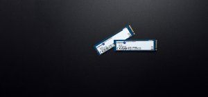 Kingston Technology 250G NV2 M.2 2280 PCIe 4.0 NVMe SSD