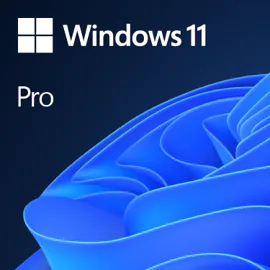 Microsoft Windows 11 Pro 1 license(s)