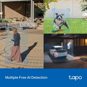 TP-Link Tapo Outdoor Pan/Tilt Security Wi-Fi Camera