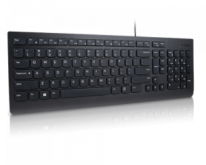 Lenovo Essential keyboard USB French, German Black
