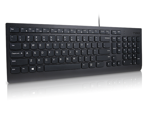 Lenovo Essential keyboard USB French, German Black