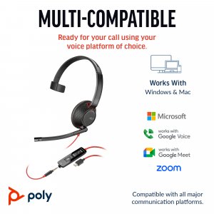 HP Poly Poly Blackwire 5210 Monaural USB-C Headset +3.5mm Plug +USB-C/A Adapter (Bulk)