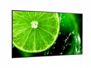NEC MultiSync E988 Digital signage flat panel 2.48 m (97.5") LCD 350 cd/m² 4K Ultra HD Black 24/7