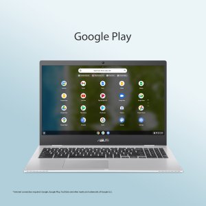 ASUS Chromebook CX1 CX1500CKA-NJ0473 Intel® Pentium® Silver N6000 39.6 cm (15.6") Full HD 8 GB LPDDR4x-SDRAM 128 GB eMMC Wi-Fi 6 (802.11ax) ChromeOS Silver