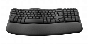 Logitech Wave Keys