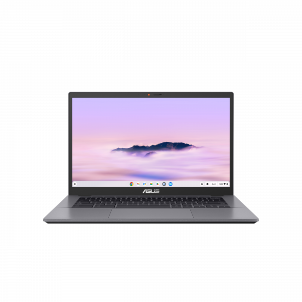 ASUS Chromebook Plus Enterprise CB34 CB3402CBA-MW0300 Intel® Core™ i5 i5-1235U 35.6 cm (14") Touchscreen Full HD 8 GB LPDDR5-SDRAM 256 GB UFS Wi-Fi 6 (802.11ax) ChromeOS Grey