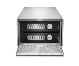 G-Technology G-RAID Thunderbolt 3 disk array 20 TB Silver