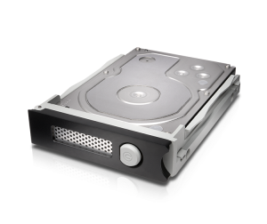 G-Technology G-RAID Thunderbolt 3 disk array 20 TB Silver