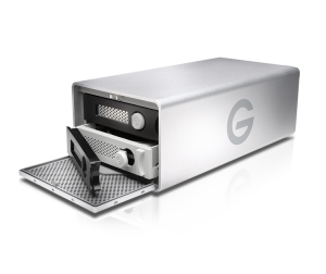 G-Technology G-RAID Thunderbolt 3 disk array 20 TB Silver