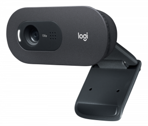 Logitech C505e