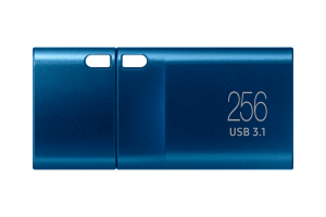 Samsung MUF-256DA USB flash drive 256 GB USB Type-C 3.2 Gen 1 (3.1 Gen 1) Blue