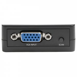 StarTech.com VGA to RCA and S-Video Converter - USB Power