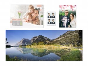 Epson SureLab SL-D800 240V