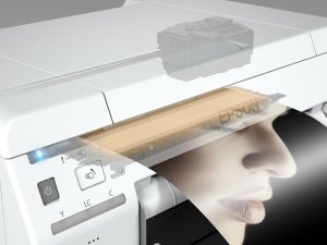 Epson SureLab SL-D800 240V