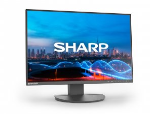 Sharp MultiSync EA241W computer monitor 61 cm (24") 1920 x 1200 pixels Full HD LCD Black
