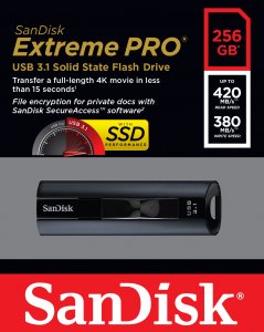 SanDisk Extreme Pro USB flash drive 256 GB USB Type-A 3.2 Gen 1 (3.1 Gen 1) Black