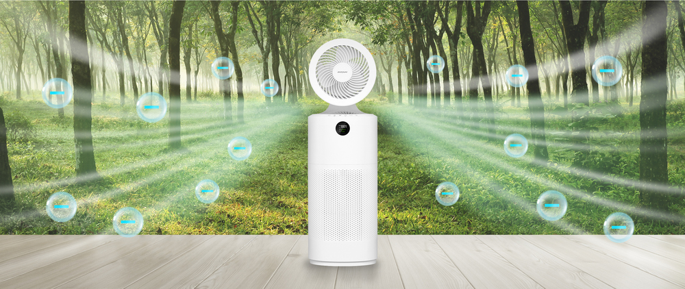 <b>10 Million Negative Ions: Effective Purification</b>
