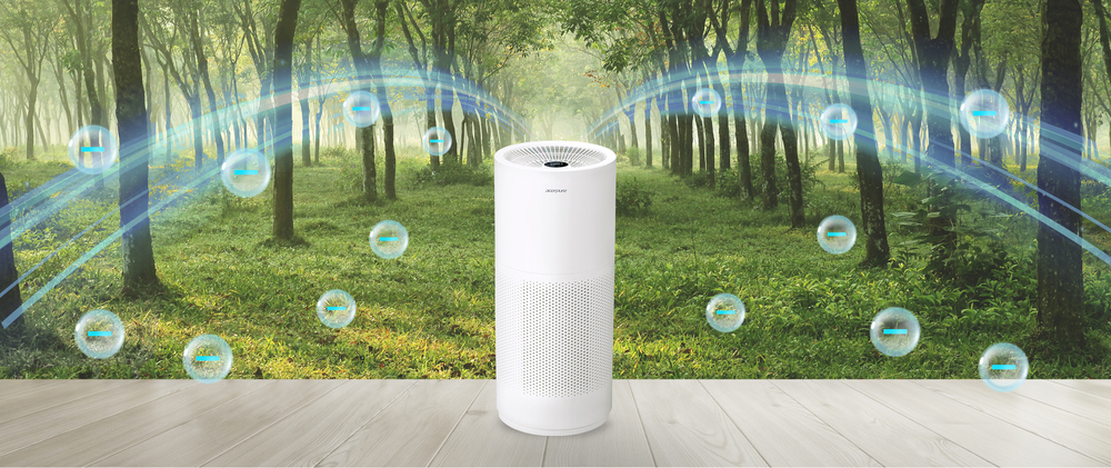 <b>10 Million Negative Ions: Effective Purification</b>