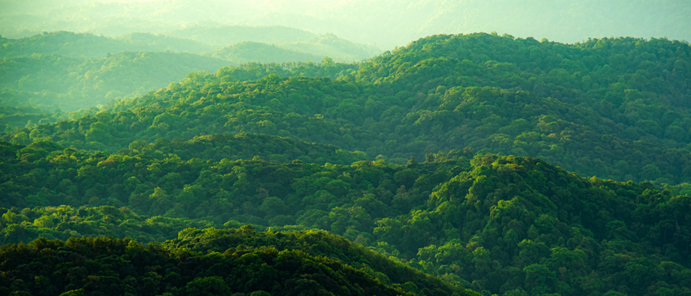 Environmentally-forward thinking