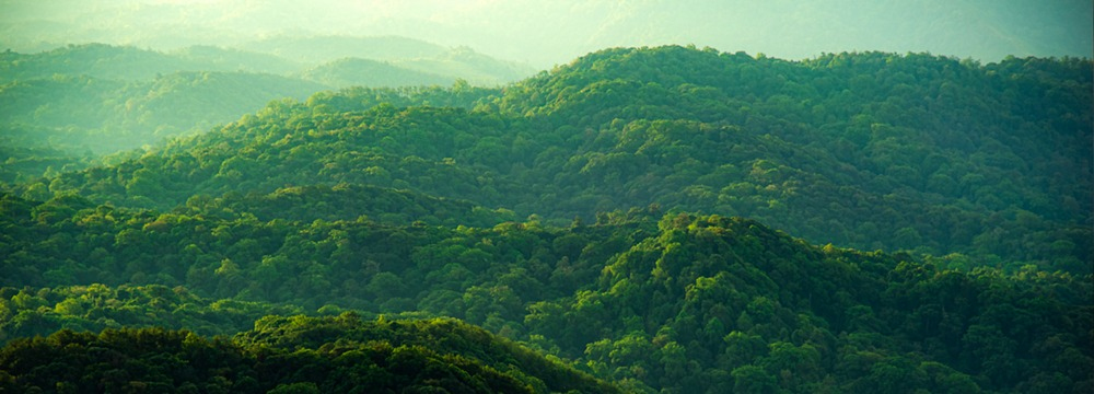Environmentally-forward thinking